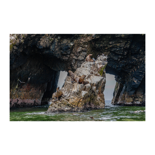 Reserva Nacional Paracas