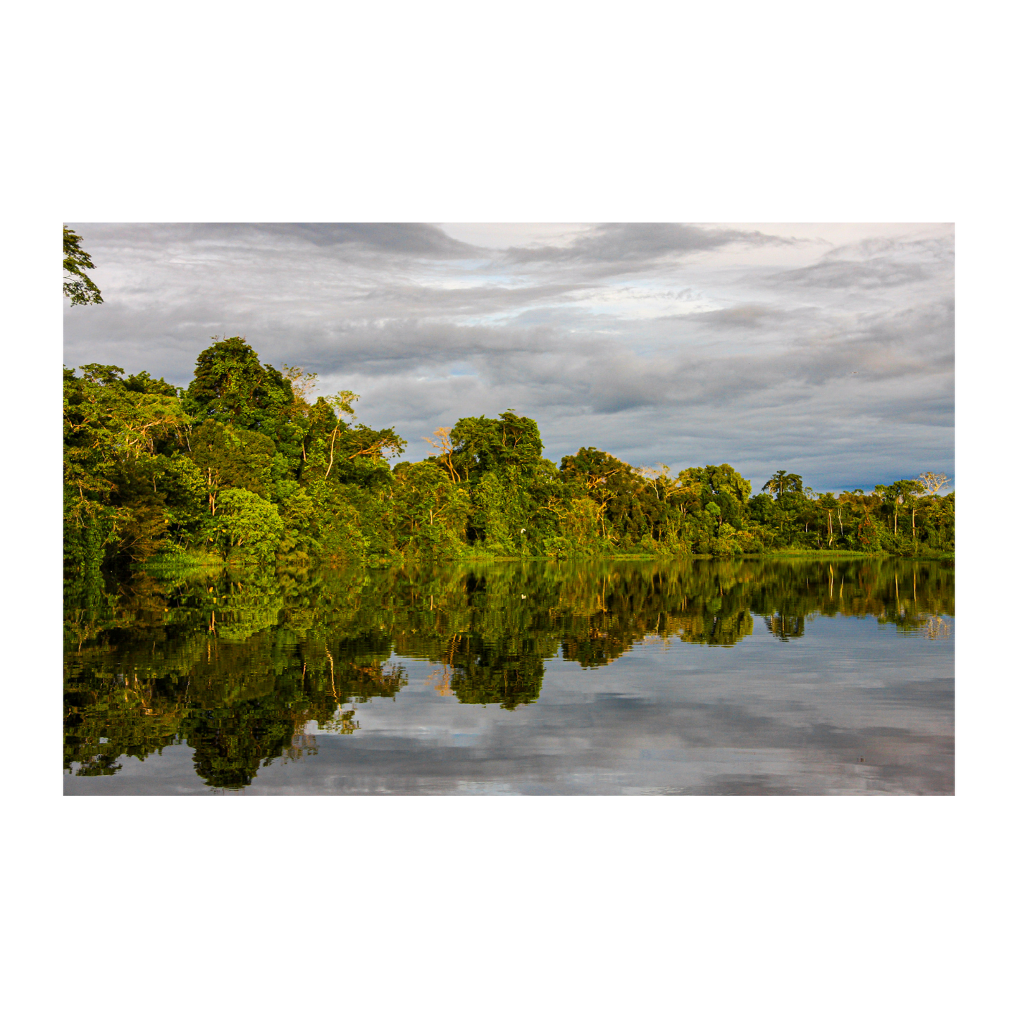 Reserva Pacaya Samiria