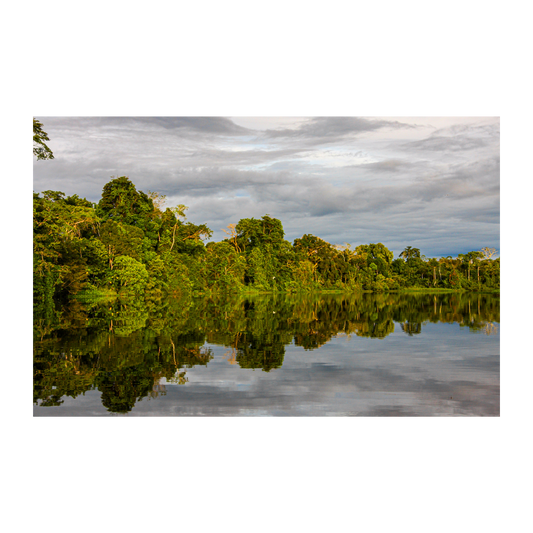 Reserva Pacaya Samiria