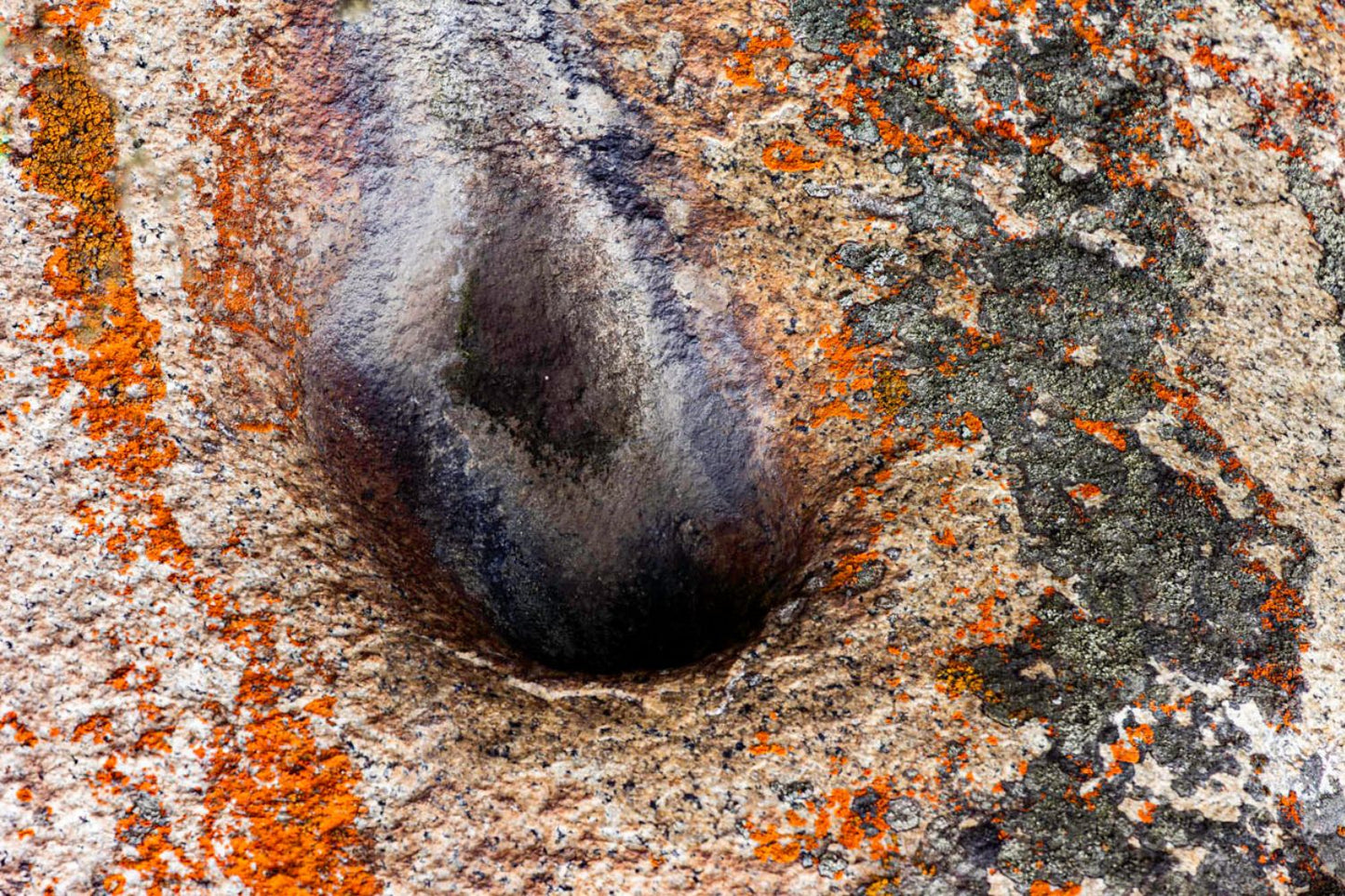 Texturas Lomas de Lachay