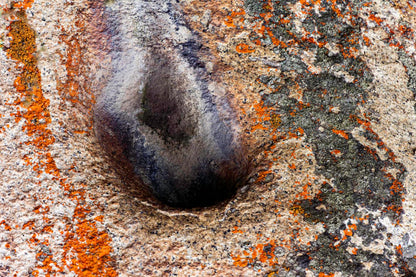 Texturas Lomas de Lachay