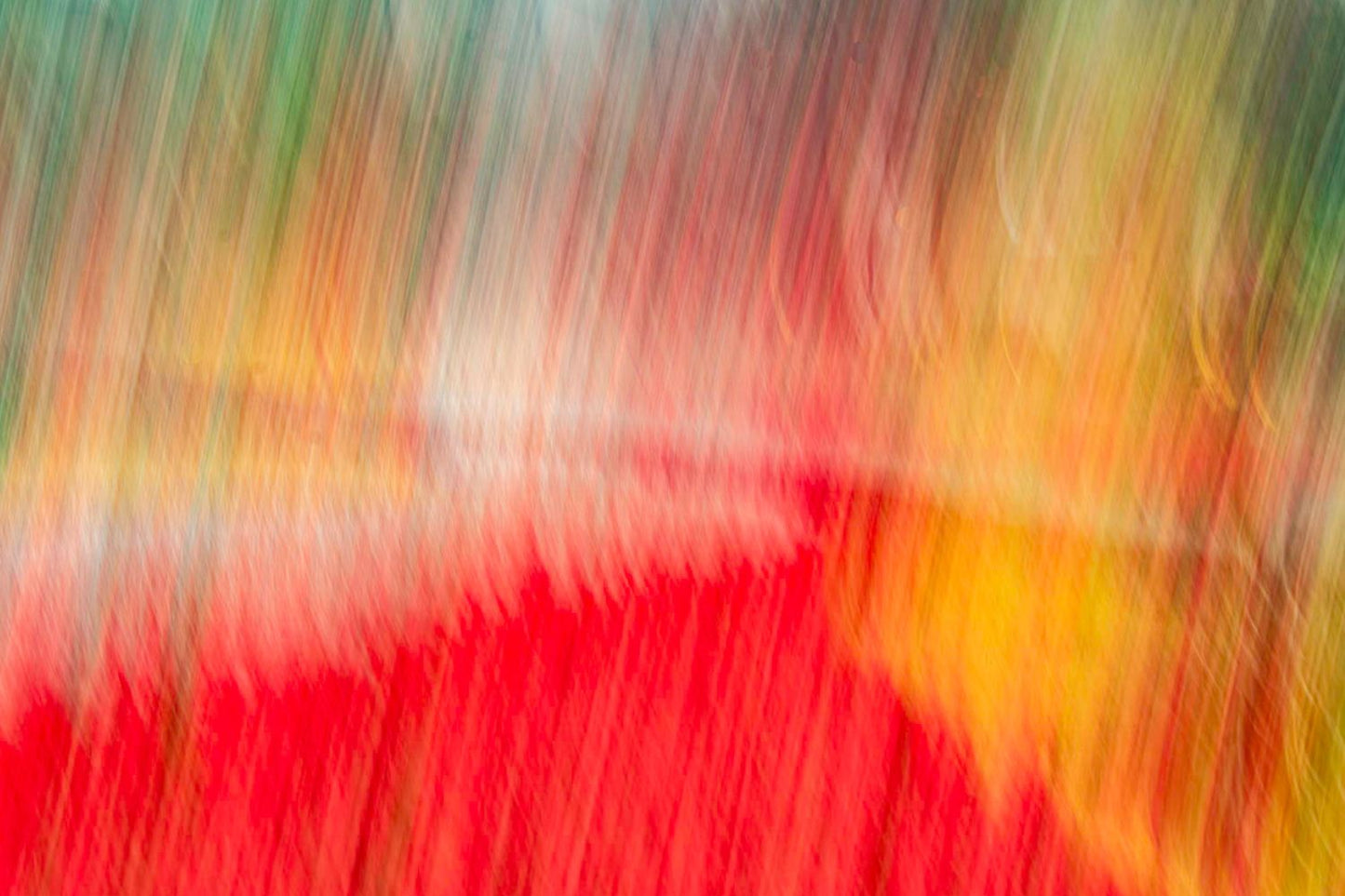 Abstracto flores ICM