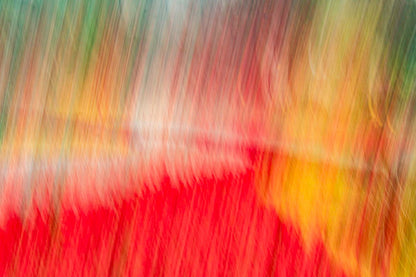 Abstracto flores ICM