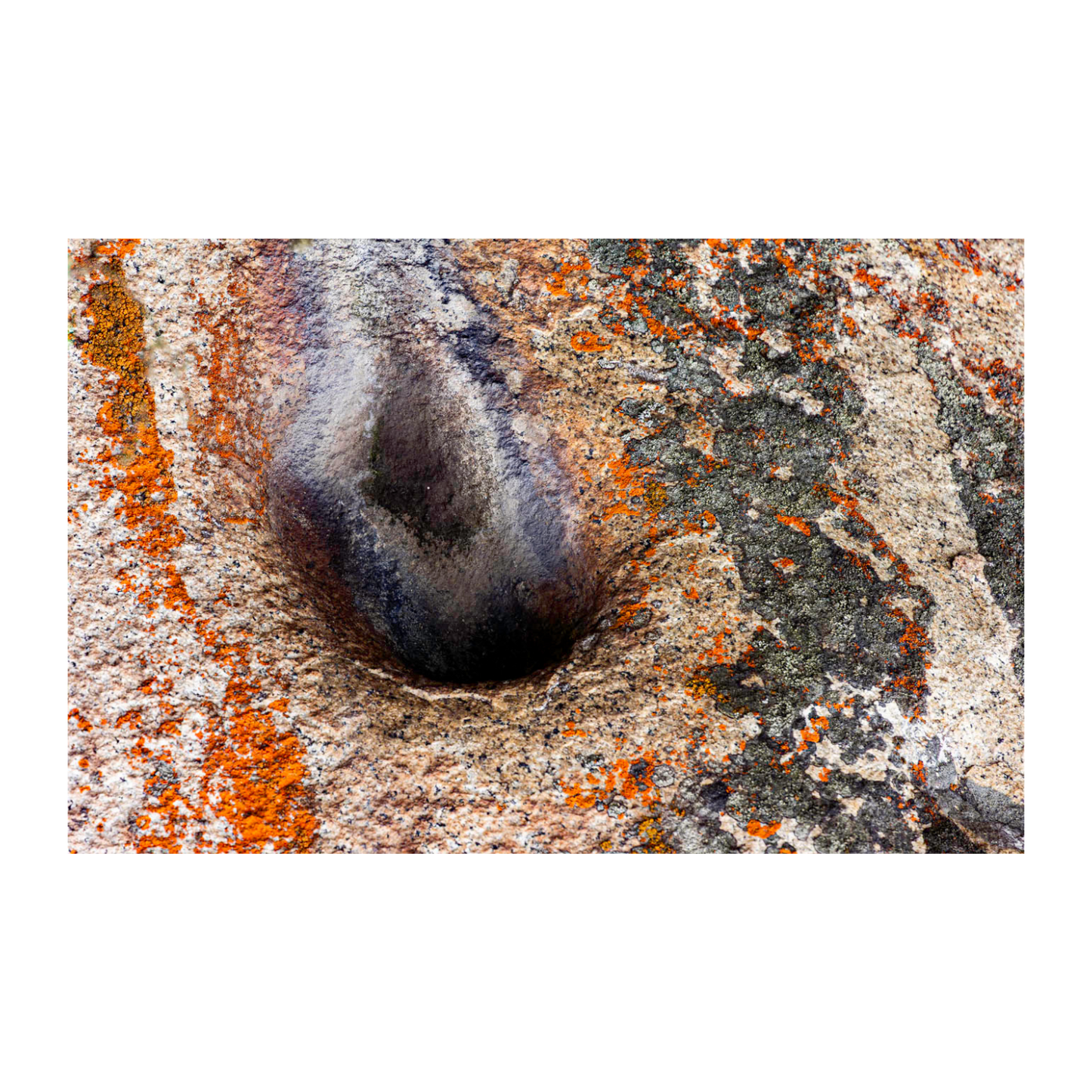 Texturas Lomas de Lachay