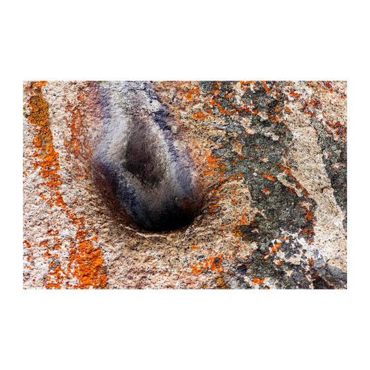 Texturas Lomas de Lachay